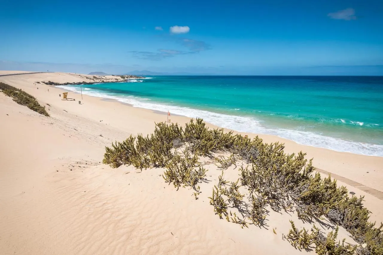 Home2Book Sea Front El Granillo, Beach & Wifi Costa Calma Spagna